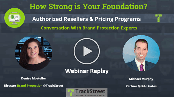 Webinar Replay: How Strong is Your Foundation? Authorized Resellers & Pricing Programs